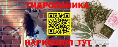 гашиш Дубна