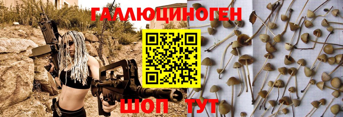 Галлюциногенные грибы Magic Shrooms Луховицы
